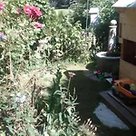 Waldsicht * Flachau