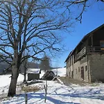 Waldsicht Flachau