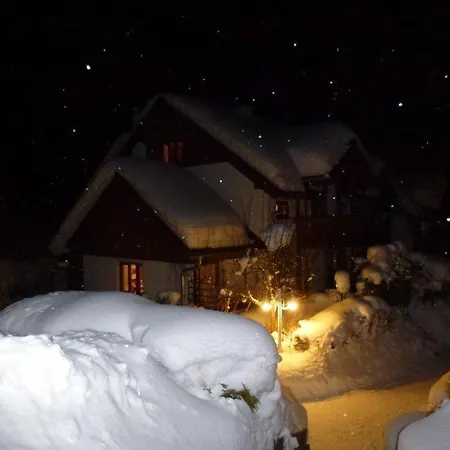 Waldsicht Flachau
